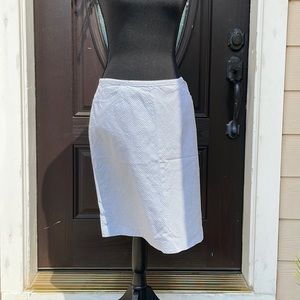 Ann Taylor Blue & White Striped Skirt!